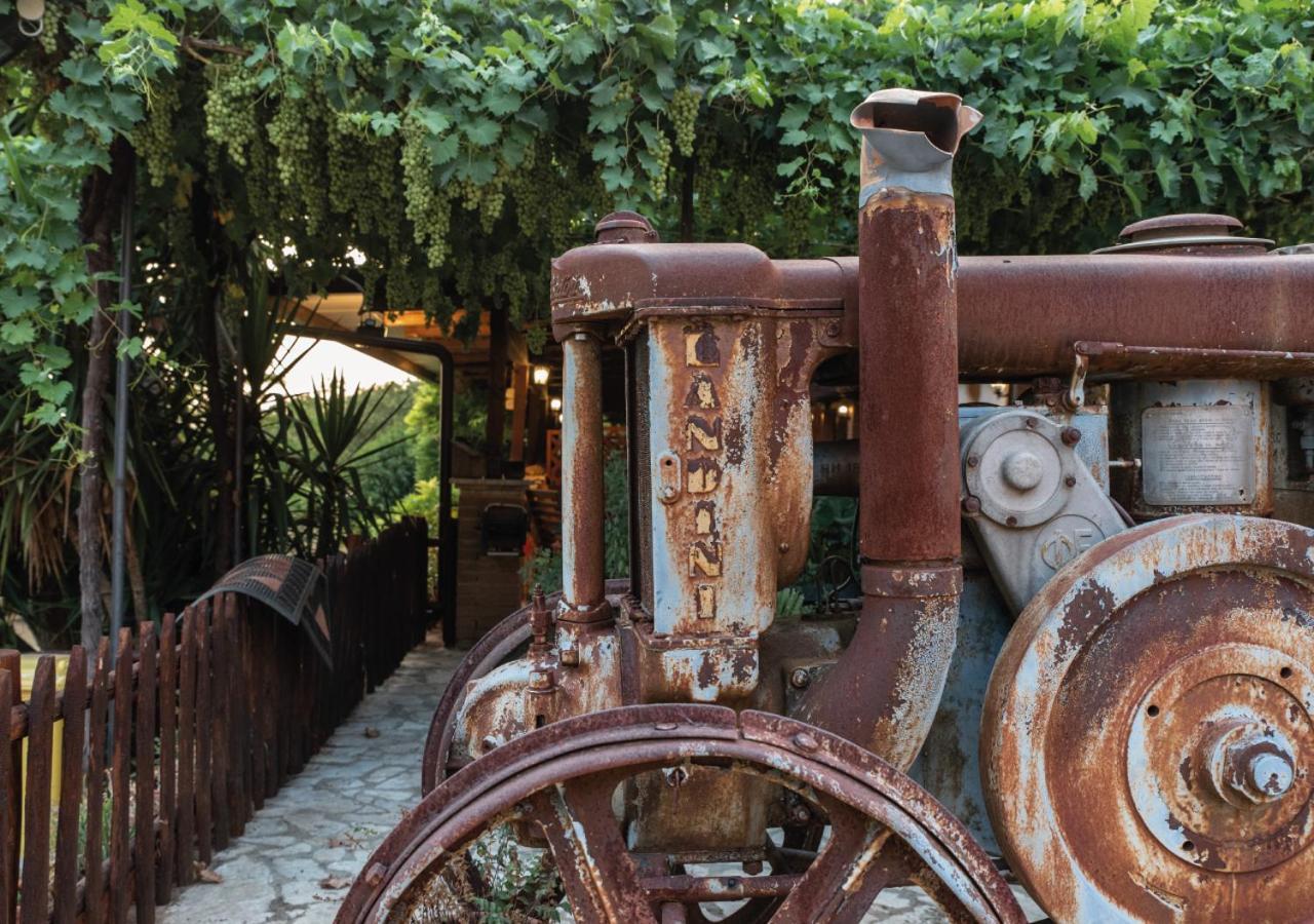 Il Sorgituro - Agriturismo Postiglione Zewnętrze zdjęcie