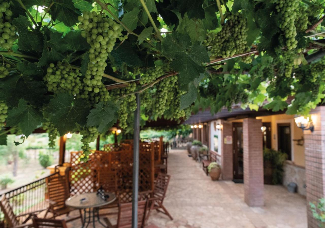 Il Sorgituro - Agriturismo Postiglione Zewnętrze zdjęcie