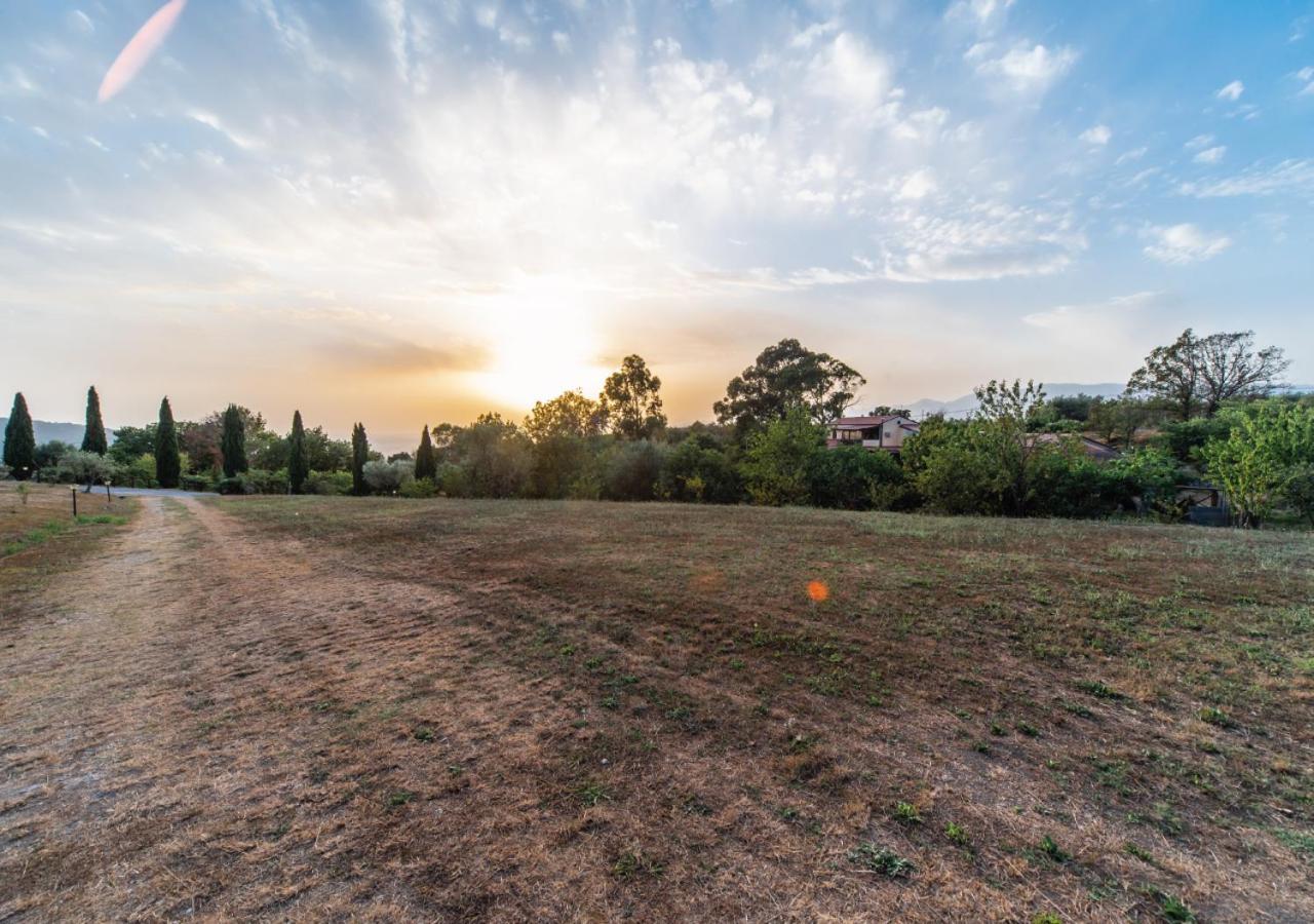 Il Sorgituro - Agriturismo Postiglione Zewnętrze zdjęcie